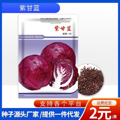 厂家批发代发快速耐抽苔四季种植紫甘蓝包菜菜种子耐热耐寒蔬菜图5
