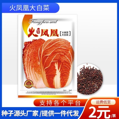 厂家批发代发快速耐抽苔火凤凰大白菜菜种子耐热耐寒蔬菜图5