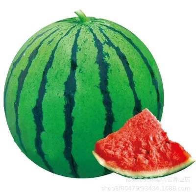 冰糖无籽西瓜种子原装薄皮正宗无子懒人田园新品冰糖西瓜夏季水果图4
