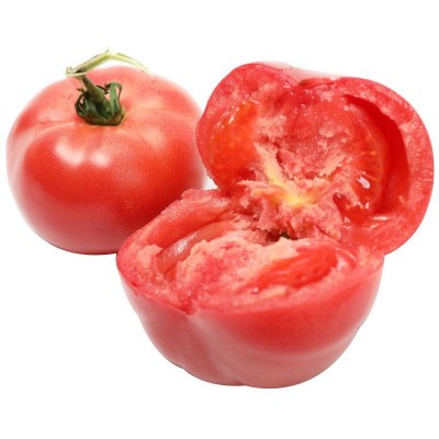 四季大番茄种子 春秋季阳台盆栽中蔬四号红果大西红柿种子图4