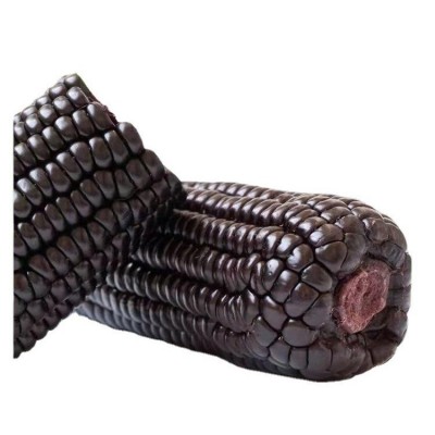 四季黑甜糯玉米种子 香甜糯玉米种子大田玉米杂交非转基因黑玉米图3