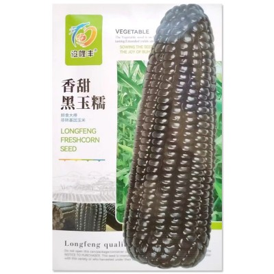 四季黑甜糯玉米种子 香甜糯玉米种子大田玉米杂交非转基因黑玉米图4