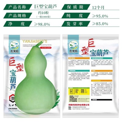 批发葫芦种大葫芦种子巨型葫芦种籽八宝蚂蚁肚文玩手捻小葫芦种子图3