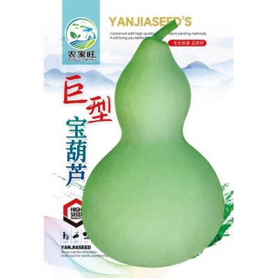 批发葫芦种大葫芦种子巨型葫芦种籽八宝蚂蚁肚文玩手捻小葫芦种子图5