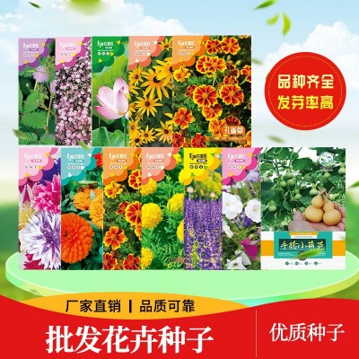 花卉种子批发满天星太阳花波斯菊百日草向日葵含羞草薄荷碗莲荷花图2