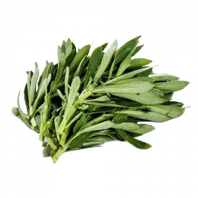 养心菜高钙救心菜种子可食用野菜四季播阳台盆栽特色保健蔬菜种籽图5