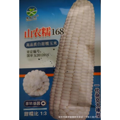 白甜糯玉米种子矮杆大棒玉米种子大田种植杂交春秋季蔬菜种子图5