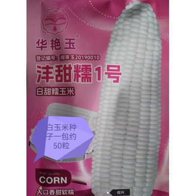 白甜糯玉米种子矮杆大棒玉米种子大田种植杂交春秋季蔬菜种子图4