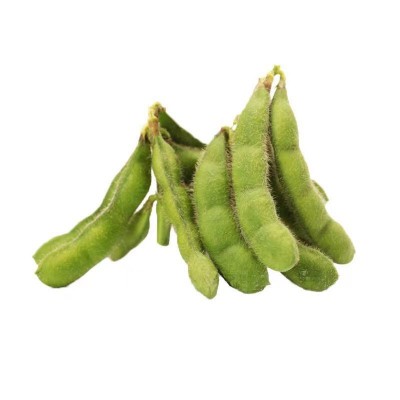 高产早熟50天大粒毛豆种子抗病耐寒优质青毛豆种子春播夏播毛豆籽图5