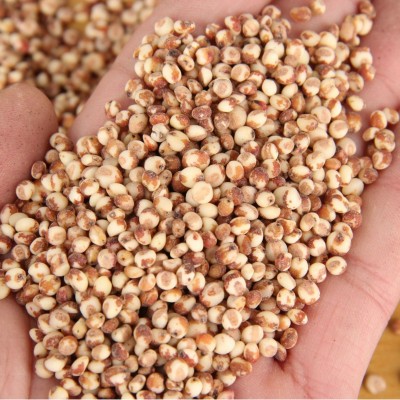 批发红高粱米糯高粱米五谷杂粮去皮去壳红高粱袋装25kg新货红高粱图2