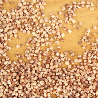 批发红高粱米糯高粱米五谷杂粮去皮去壳红高粱袋装25kg新货红高粱图3