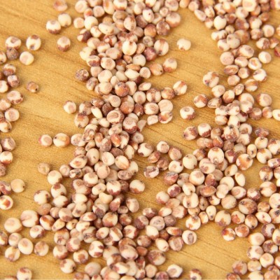 批发红高粱米糯高粱米五谷杂粮去皮去壳红高粱袋装25kg新货红高粱图5