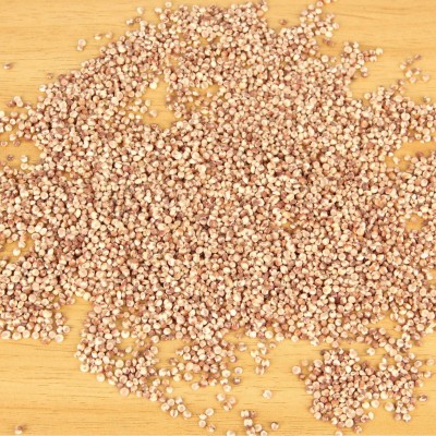 批发红高粱米糯高粱米五谷杂粮去皮去壳红高粱袋装25kg新货红高粱图4