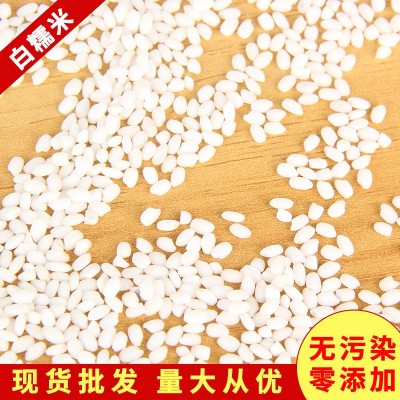 批发白糯米东北白糯米 圆糯米25kg白江糯米江米五谷杂粮糯米