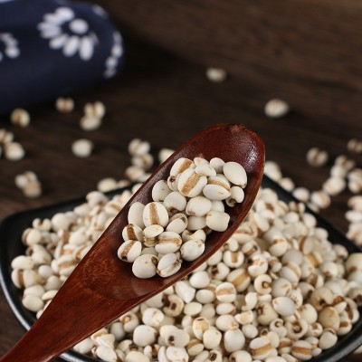 现货批发贵州薏米 薏仁米 薏米仁 五谷杂粮粗粮25kg熬粥白薏米图2