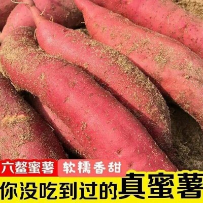 【福建六鳌】红蜜薯沙地红薯新鲜现挖红心富硒地瓜番薯山芋蜜图2