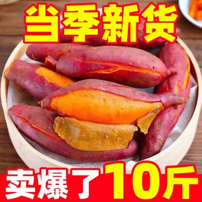 正宗高山沙地蜜薯烤红薯新鲜糖心超甜蜜薯低脂肪农家自种批发图4