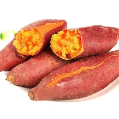 正宗高山沙地蜜薯烤红薯新鲜糖心超甜蜜薯低脂肪农家自种批发图5