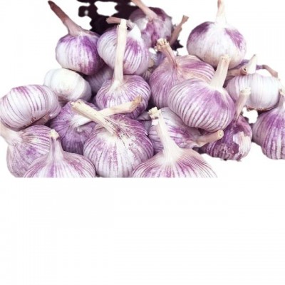 正宗紫皮大蒜头干蒜批发金乡蒜蓉新鲜红皮优质子农家5斤装包邮图5