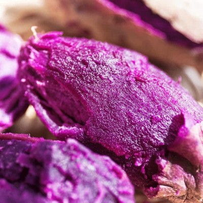 新鲜紫薯农家自种现挖新鲜沙地紫色番薯蔬菜紫薯番薯粉糯整箱图2