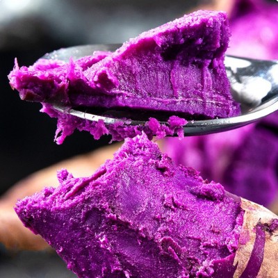 新鲜紫薯农家自种现挖新鲜沙地紫色番薯蔬菜紫薯番薯粉糯整箱图3