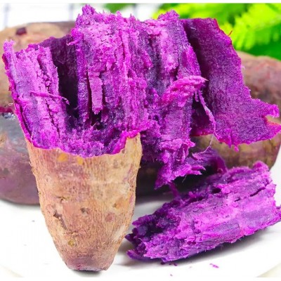 新鲜紫薯农家自种现挖新鲜沙地紫色番薯蔬菜紫薯番薯粉糯整箱图5