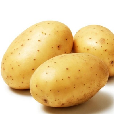 【超低价】新鲜黄皮黄心土豆现挖马铃薯洋芋当季蔬菜农家土豆产地图4