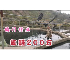农村偏门行业，投资3万元年收入200万，年轻人宁愿打工也不做