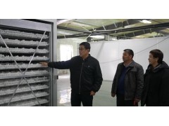 托里：百福升农牧发展有限公司屠宰场、孵化场建设工作接近尾声​