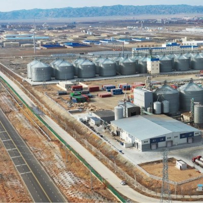 【5吨起订】红花籽油一级食用油批发 源头工厂直销 全国低价图3