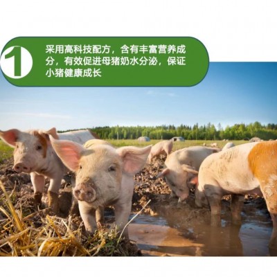 4%哺乳母猪预混料 买十送一 厂价直销 奶水充足 提高奶水营养图3