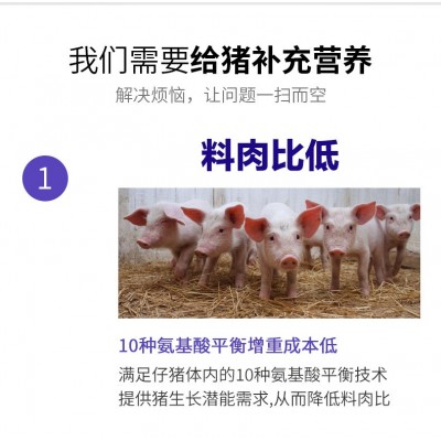 保育阶段小猪厂家批发25%乳猪仔猪浓缩饲料猪用浓缩料配玉米拉伸图2