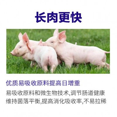 保育阶段小猪厂家批发25%乳猪仔猪浓缩饲料猪用浓缩料配玉米拉伸图4