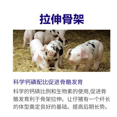 保育阶段小猪厂家批发25%乳猪仔猪浓缩饲料猪用浓缩料配玉米拉伸图3