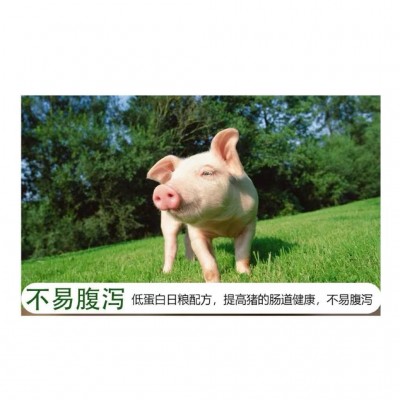 8%中大猪预混料 买十送一 一袋配料500斤 拉伸骨架 日增重高图2