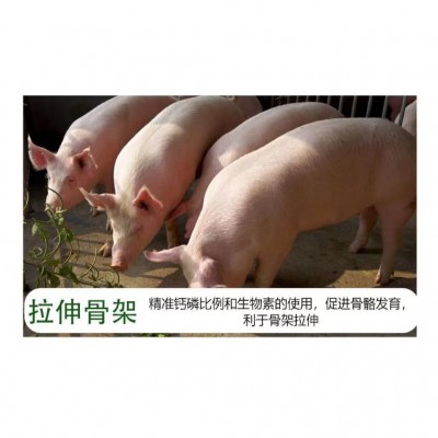 8%中大猪预混料 买十送一 一袋配料500斤 拉伸骨架 日增重高图4