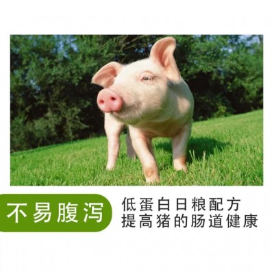 4%中猪预混料 买十送一 厂价直销 拉伸骨架 不易腹泻 日增重高图3
