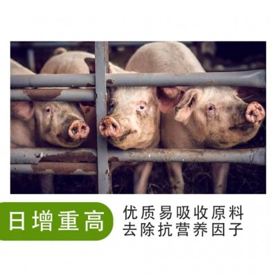 4%中猪预混料 买十送一 厂价直销 拉伸骨架 不易腹泻 日增重高图2