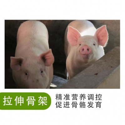 4%中猪预混料 买十送一 厂价直销 拉伸骨架 不易腹泻 日增重高图5