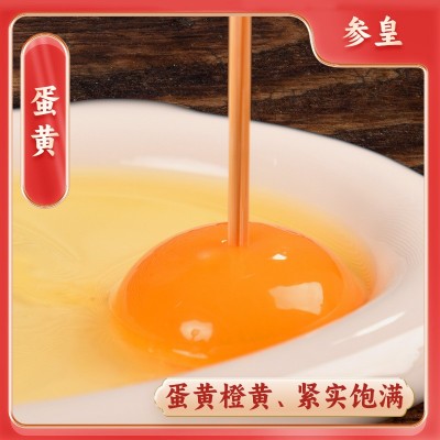 整箱新鲜土鸡蛋虫草蛋农家鲜鸡蛋早餐溏心鸡蛋柴鸡蛋商用批发图3