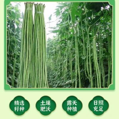 2024年农家自制干豆角250g 农家自制长豆角豇豆干货扁豆脱水蔬菜图3