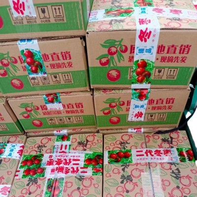 山东冬枣脆甜冬枣新鲜水果鲜枣大枣脆枣现发包邮图4