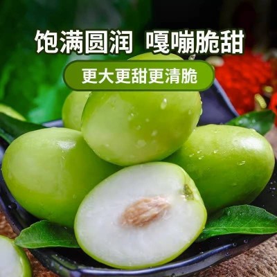 牛奶大青枣新鲜苹果枣现摘现发贵妃枣蜜枣新鲜水果图4