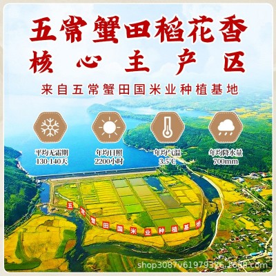 官方追溯五常置田国米5kg田稻花香10斤新米东北黑龙江五常特产图4