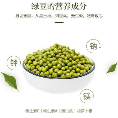 东北农家黑龙江五常新货绿豆自产五谷杂粮煮粥发豆芽绿豆汤饼沙图5