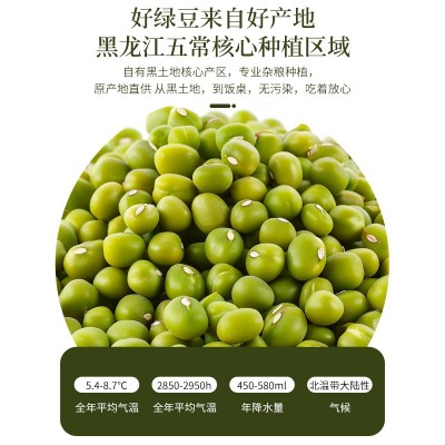 东北农家黑龙江五常新货绿豆自产五谷杂粮煮粥发豆芽绿豆汤饼沙图2