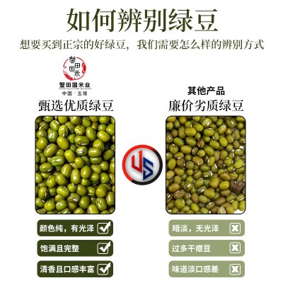 东北农家黑龙江五常新货绿豆自产五谷杂粮煮粥发豆芽绿豆汤饼沙图3