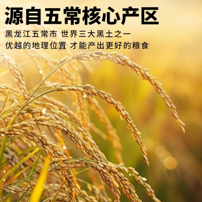 官方溯源农民自产五常大米充氮保鲜正宗原粮稻花香2号新米东北米图4