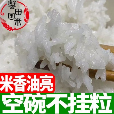 官方溯源正宗蟹田国米五常大米稻花香2号10斤新米东北长粒香真空图2