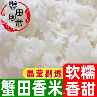 正宗蟹田国米五常大米原粮稻花香2号10斤东北产地直发当季新米图2